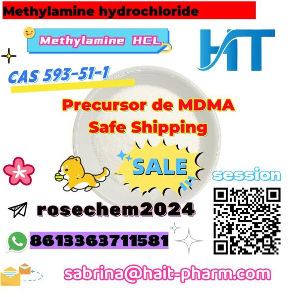 precursor de MDMA Methylamine hydrochloride cas 593511 sabrinahaitpharm.com